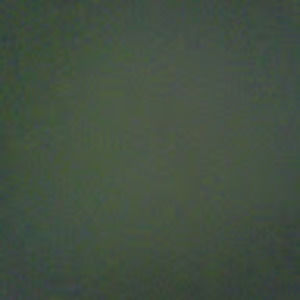 Meet your Posher, Shanele